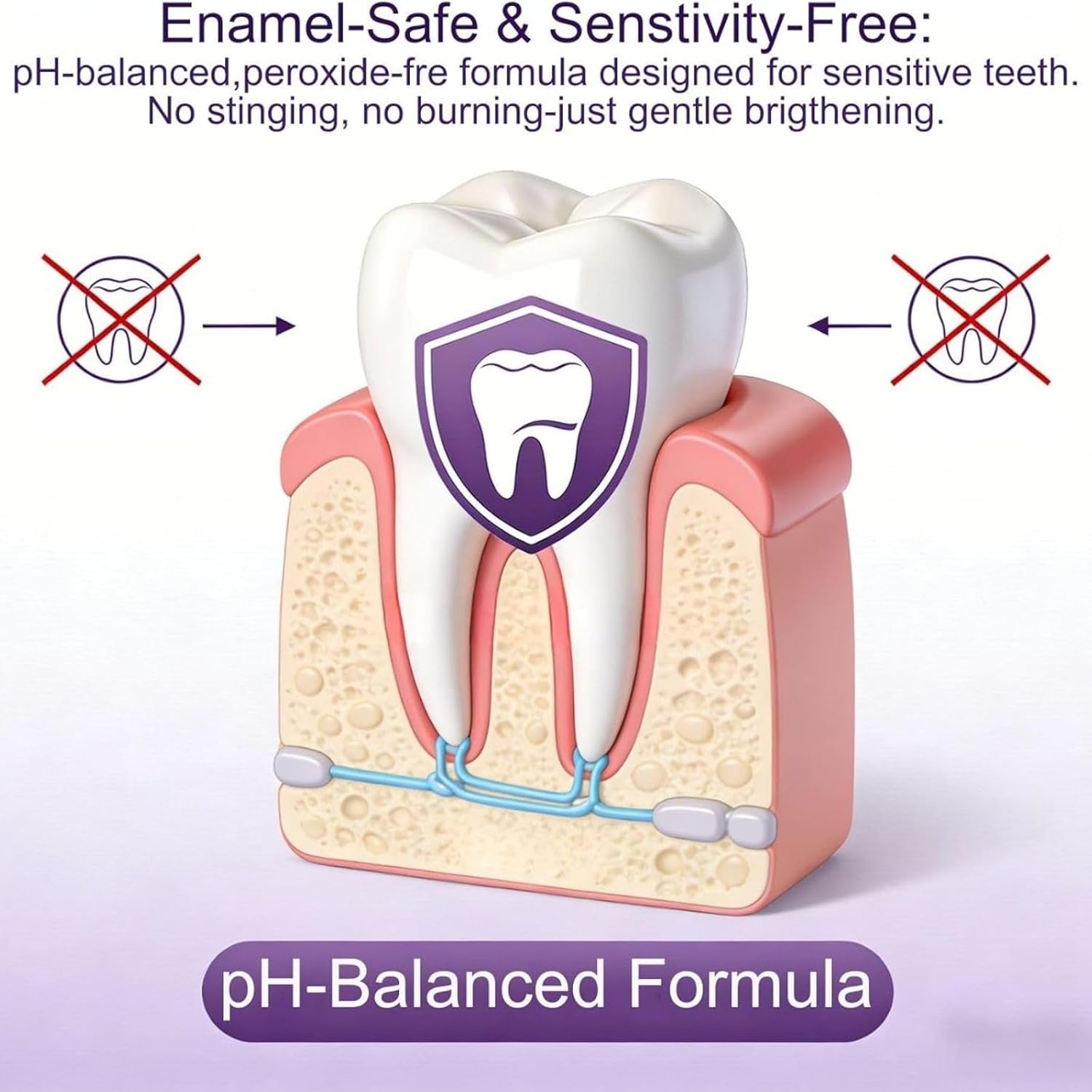 Purple Teeth Whitening Combo K - огляд і ціна Teeth Whitening Home Kit