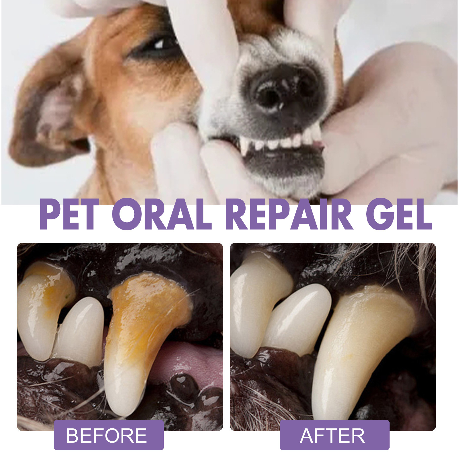Pet Oral Repair Gel Puppy Tart - огляд і ціна Teeth Whitening Mouthwash