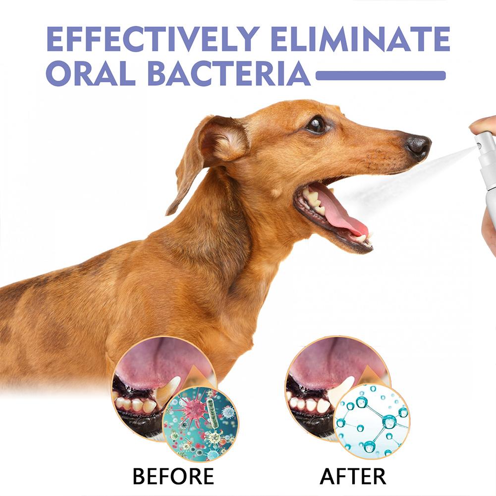 Pet Oral Cleaning Spray Mouth  - огляд і ціна Whitening Mouthwash